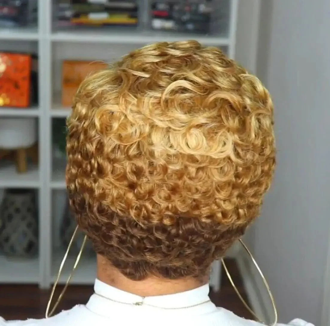 Brazilian Human Hair Short Afro Curly Pixie Cut Wig