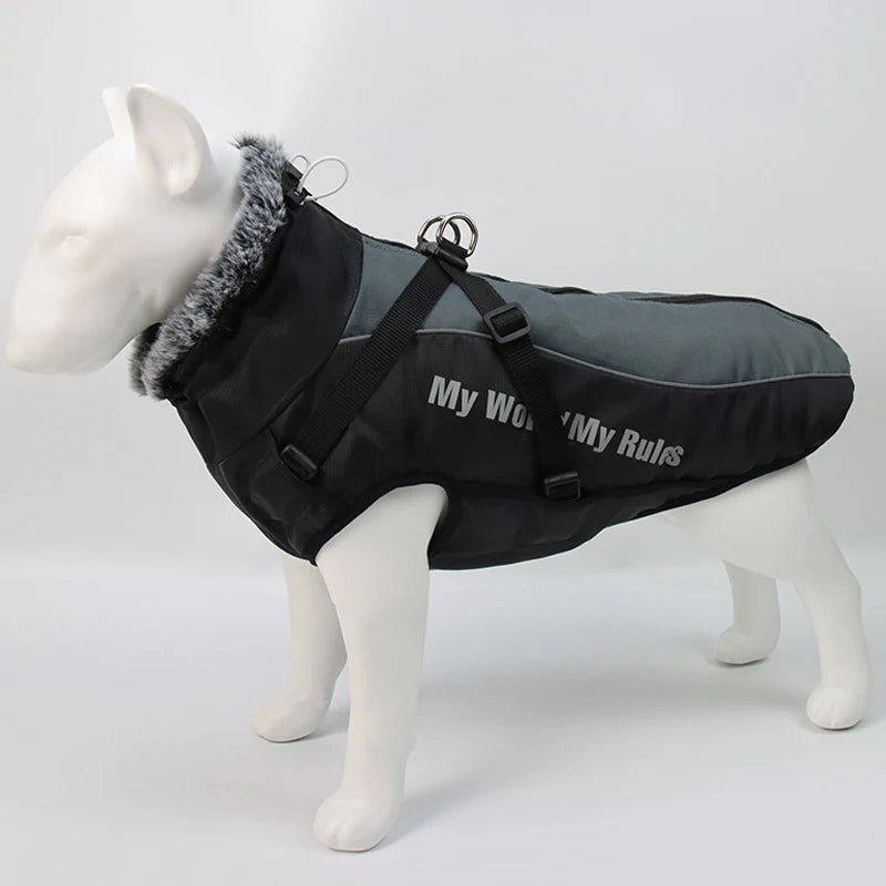 Winter Dog Coat & Harness Vest | Medium & Large Dogs | French Bulldog