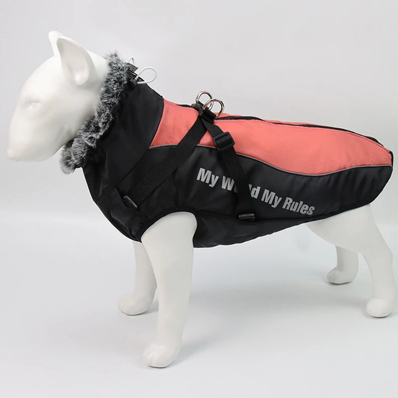 Winter Dog Coat & Harness Vest | Medium & Large Dogs | French Bulldog