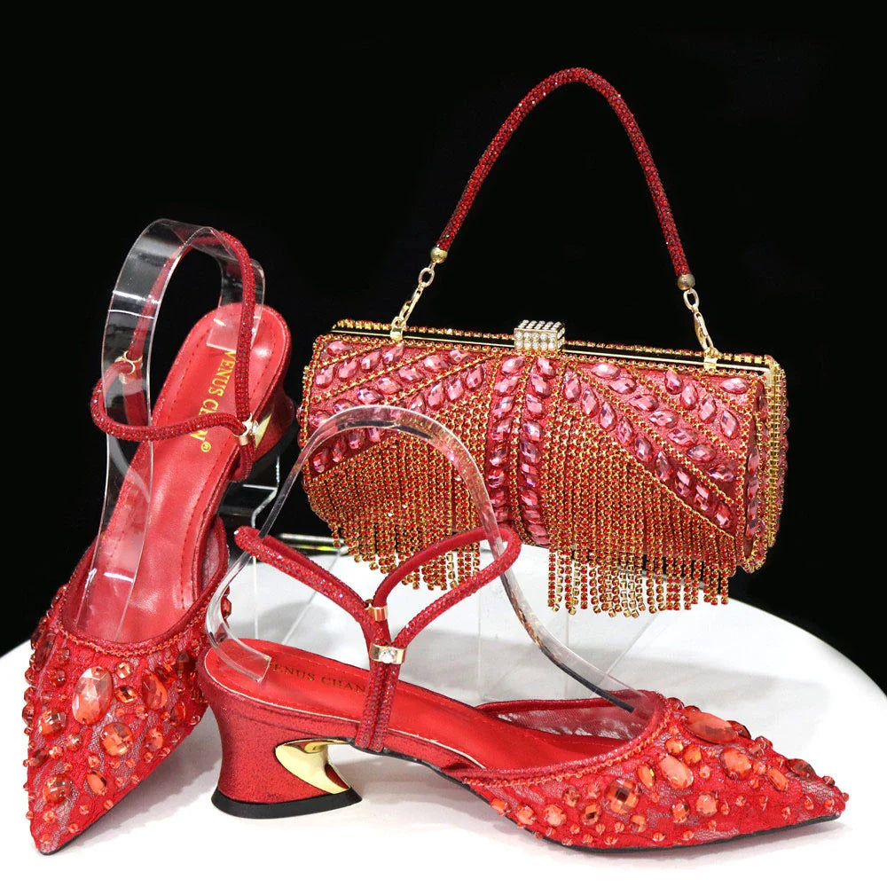 Women's Italian Diamond Lace Designer Matching Shoe and Bag Set