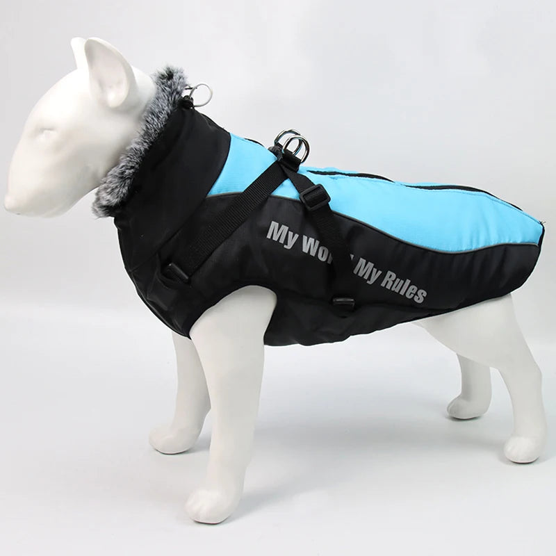 Winter Dog Coat & Harness Vest | Medium & Large Dogs | French Bulldog